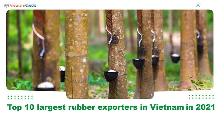 Top 10 largest rubber exporters in Vietnam in 2021